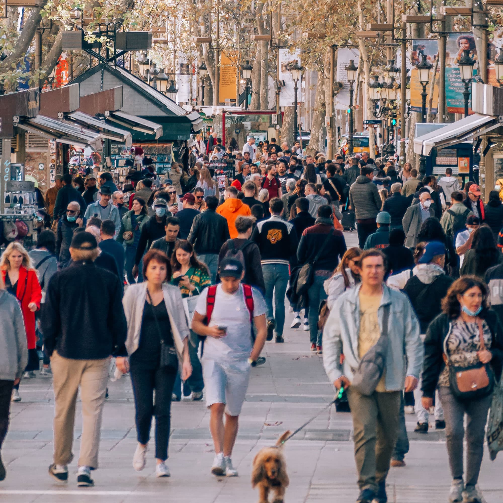 image of Las Ramblas